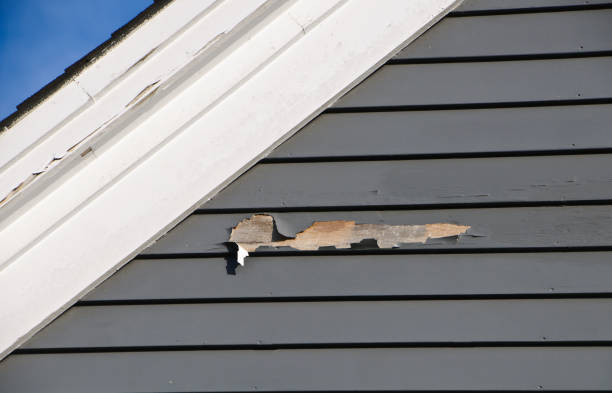 Best Demolition Debris Removal  in Tampa, FL