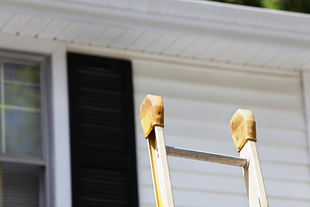 Same-Day Junk Removal Services in Tampa, FL