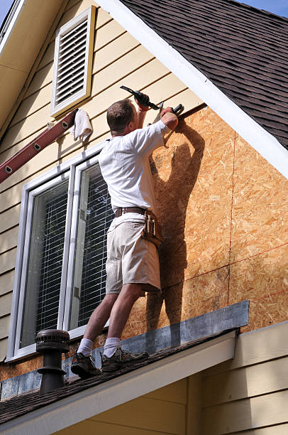 Best Carpet Removal and Disposal  in Tampa, FL