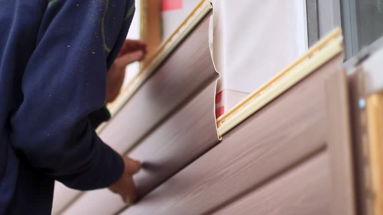 Best Furniture Removal  in Tampa, FL
